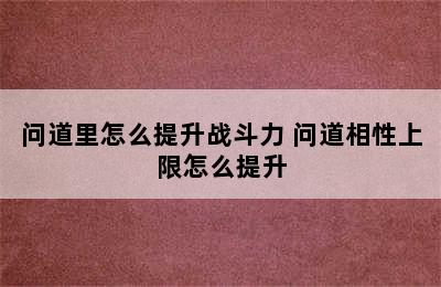 问道里怎么提升战斗力 问道相性上限怎么提升